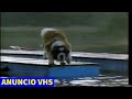 Anuncio Dreamworks Y Universal Esta Apunto De Ver Una Película VHS