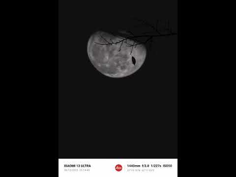 Şahsi-Dön Başa Beat