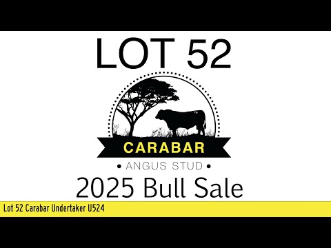 Lot 52 Carabar Undertaker U524