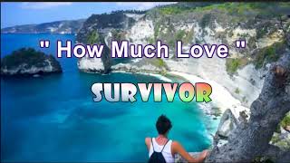 How Much Love - Survivor (karaoke)