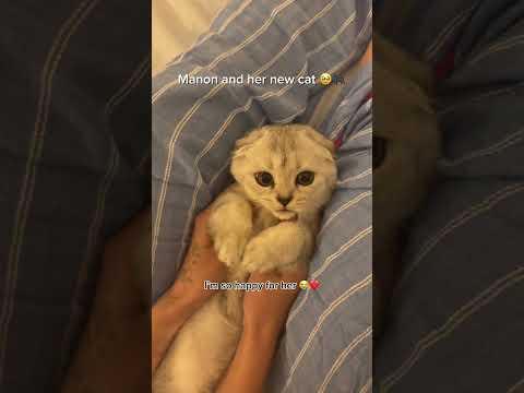 Manon’s cat ?😳🐈‍⬛ #shorts