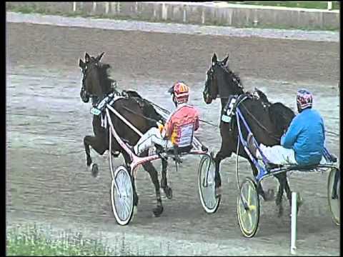 Trotto 15/10/2015 - 1° corsa