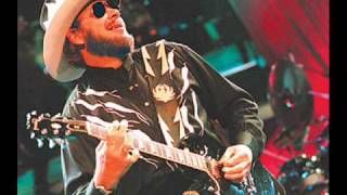 Hank Williams Jr: If Heaven ain&#39;t alot like dixie