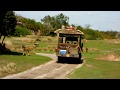 Driving Through Through The Wild Kingdom Safari At Disney World