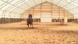 Video 1