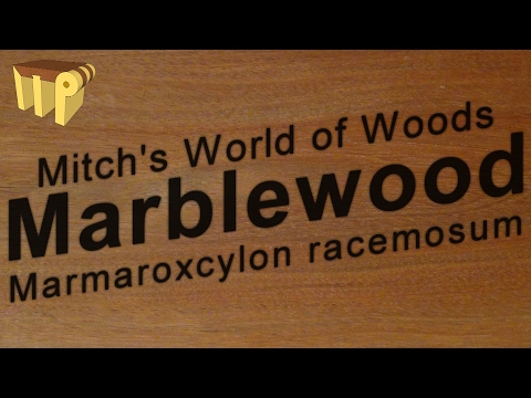 Marblewood (marmaroxylon racemosum) - Mitch's World of Woods