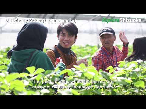 Muslim-Friendly Gotemba City in Shizuoka | Food Diversity.today