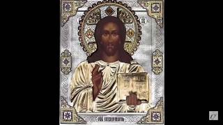 Freaks &amp; Animals