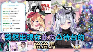 【天音彼方 / 天音かなた】突然在天音此方凸待台出現的哈洽馬【赤井心 / 赤井はあと】