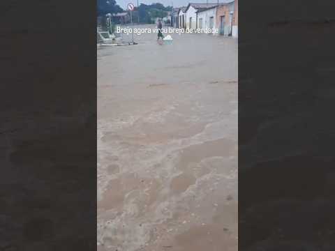 muita chuva no povoado de brejo Bahia cidade de gentio do ouro bahia