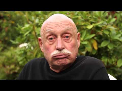 Fehlfarben - Der Dinge Stand (gelesen von Dietrich Kuhlbrodt)