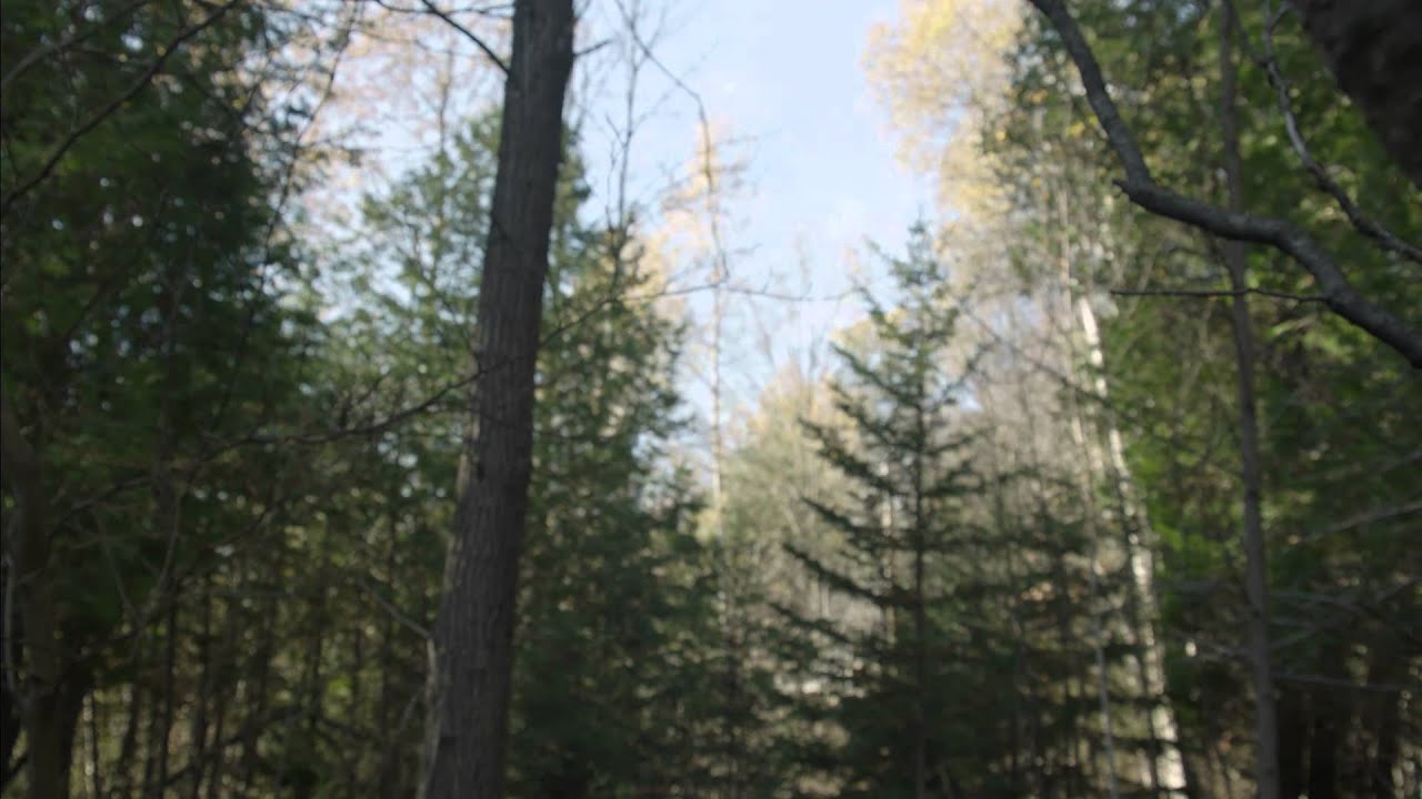 Miniature de la vidéo Deadly Voltage - Official Trailer du film Orage mortel