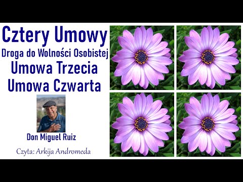 #CZTERY #UMOWY #Don #Miguel #Ruiz 3 i 4 Unikanie dramatów, poczucia winy #Odwaga #Pytania #Andromeda