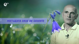 Могъщата сила на билките