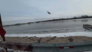DJI Nano dash cam and some