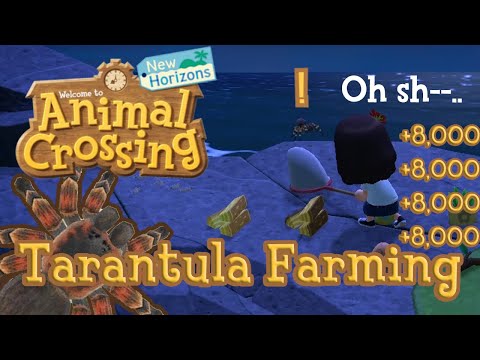 Learning Phases of Tarantula Farming in Animal Crossing New Horizons | +8,000 Bells Each