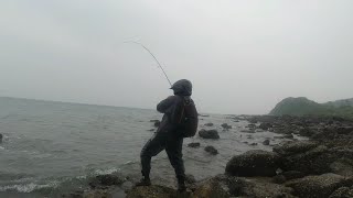 风雨无阻的路亚人