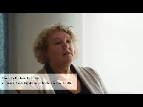 Professor Dr. Ingrid Fleming erhält den Ernst Jung-Preis für Medizin 2022