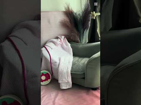 How to Take Photos of 2-Month-Old Babies #healthyparenting #cute #momlife #moment