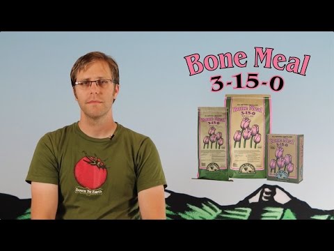 video_thumbnail2