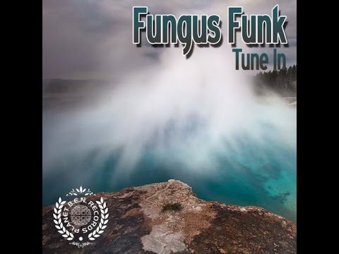 Fungus Funk - Flight Test