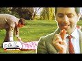 Picknick Im Park Lustige Clips Mr Bean Deutschland