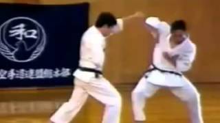 Kihon kumite n°8