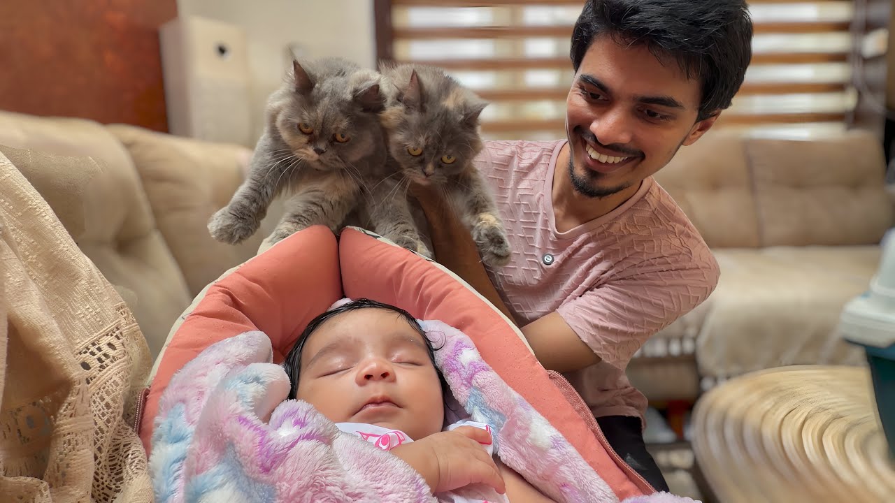 NIKKI’s CAT Family MEETs NYLA..😂