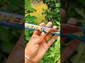 Cadbury Perk Inside Every Bite Perk Chocolate Viral Shorts Chocolate Cadbury Perk