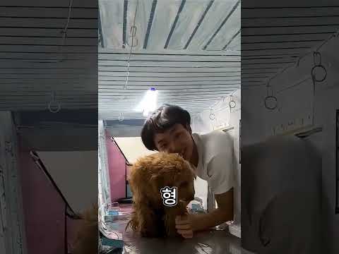 할머니의 작은 집을 본 우리 강아지의 반응