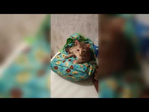 Koi itna Khubsurat kaise ho sakta hai