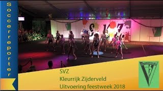 Samenvatting Kleurrijk Zijderveld