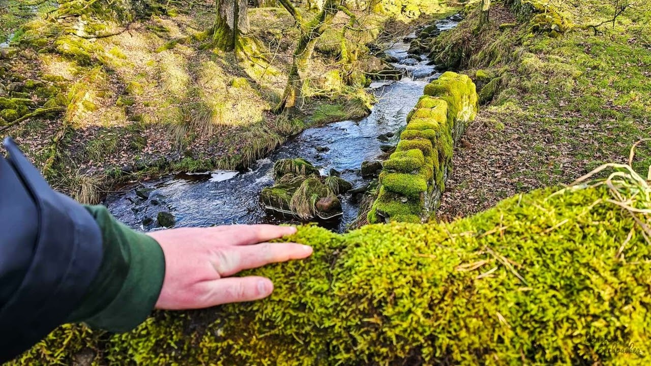 Travel Through The Senses