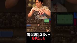 加藤純一、詰む