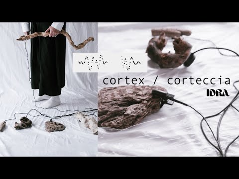 cortex / corteccia - IDRA