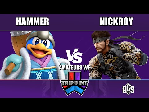 Tripoint Smash 245 - Amateurs WF - Hammer(King Dedede) Vs. NickRoy(Snake)