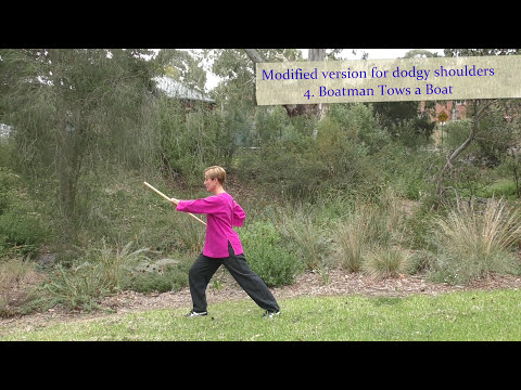 Taiji Yangsheng Zhang – Stick Qigong