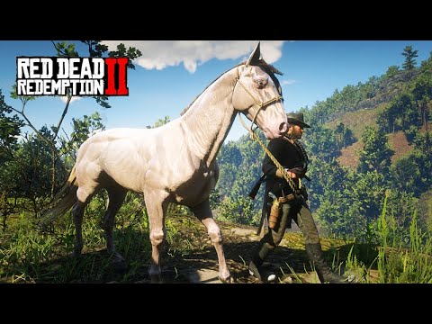 Domando o LINDO  ANDALUZ PERLINO - Minha doma mais difícil - Red Dead Redemption 2