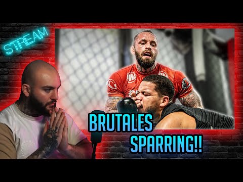 Edmon reagiert auf: Einfach ein brutaler Sparringsvlog | Stream Highlights