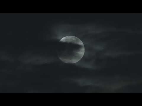 Evan Henzi - Ave Maria