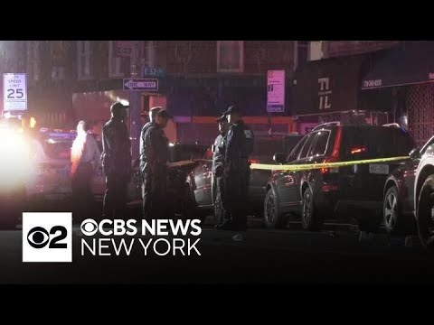 NYPD officers shoot, kill man who pointed gun during argument in Brooklyn