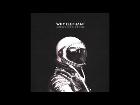 Why Elephant - Slipping (official audio)