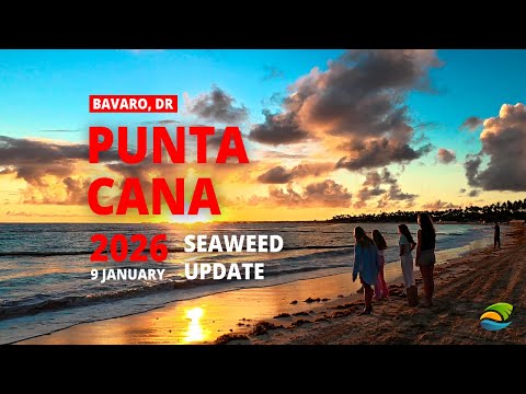 Punta Cana (January 9, 2026) - Seaweed Update | Secrets & Dreams Royal, Paradisus, Melia, Lopesan