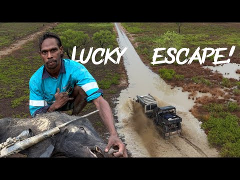 Lucky escape!