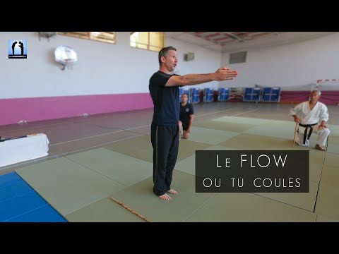 Le flow sinon tu coules - Arnis Kali avec Lionel Froidure