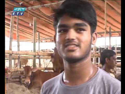 চট্টগ্রামে ধীরে ধীরে জমে উঠছে কোরবানীর পশুর হাট