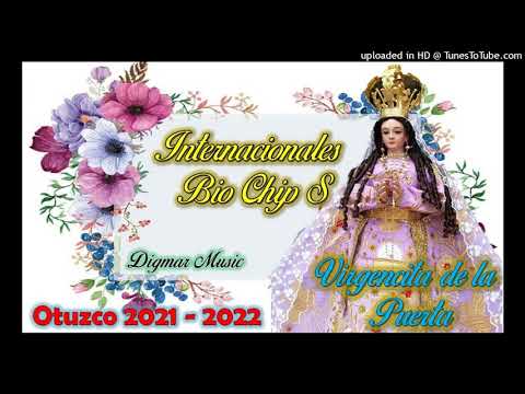 VIRGENCITA DE LA PUERTA - BIO CHIP S -" HOMENAJE DE DIGMAR SIFUENTES "