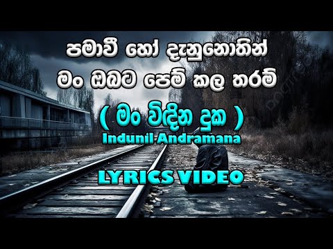 Man Windia Duka I Lyrics Video I Pama wee ho danunothin I පමා වී හෝ දැනුනොතින් | Indunil Andaramanna