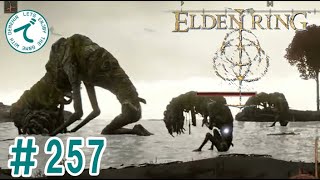 ＃257【王となれ】数学教師がエルデンリングを実況プレイ【死にゲー】