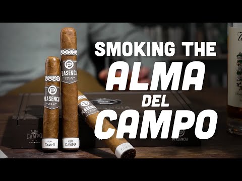 Plasencia Alma del Campo - Cigar Review, History and Tasting Notes
